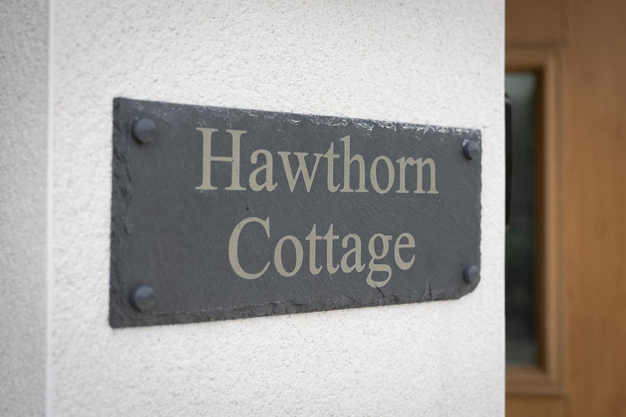 Hawthorn Cottage Tenby Exteriér fotografie